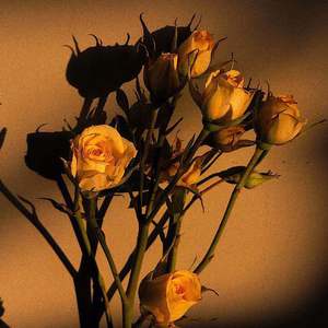 97色婷婷五月天
