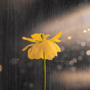 97色婷婷五月天
